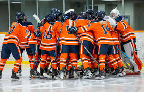 Sad news:the Edmonton and areas hockey team has just been suspended due to.